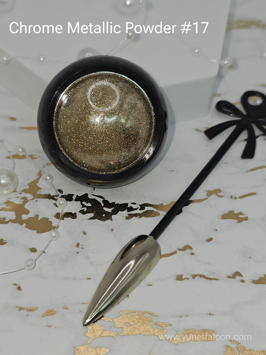 Chrome Metallic Powder #17